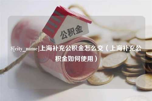 高密上海补充公积金怎么交（上海补充公积金如何使用）